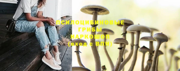 гидра Алзамай